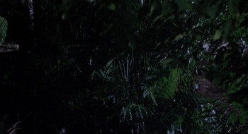 Agent Red (2000) download