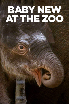 Baby New at the Zoo (2007) download